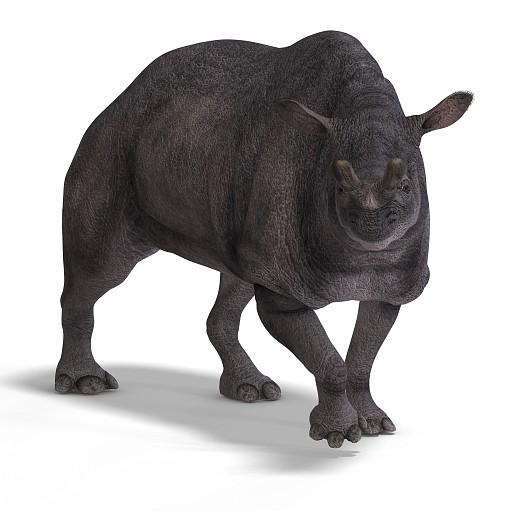 Brontotherium DAZ 06B_0001.jpg - Dinosaur Brontotherium With Clipping Path over white